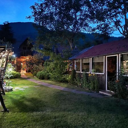 Casa De Vacanta Vidrighin Rau Sadului Экстерьер фото