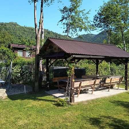 Casa De Vacanta Vidrighin Rau Sadului Экстерьер фото