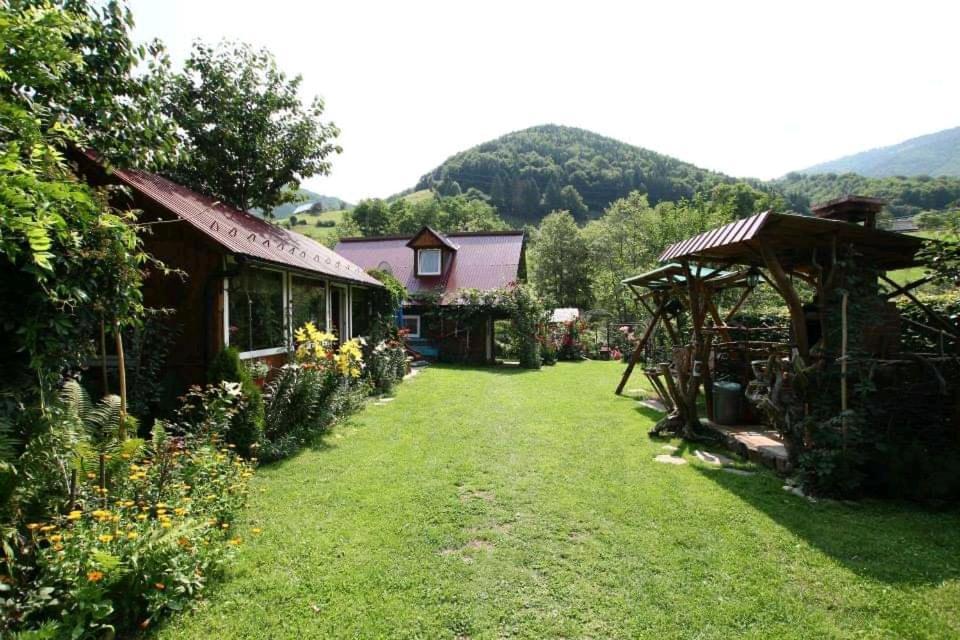 Casa De Vacanta Vidrighin Rau Sadului Экстерьер фото