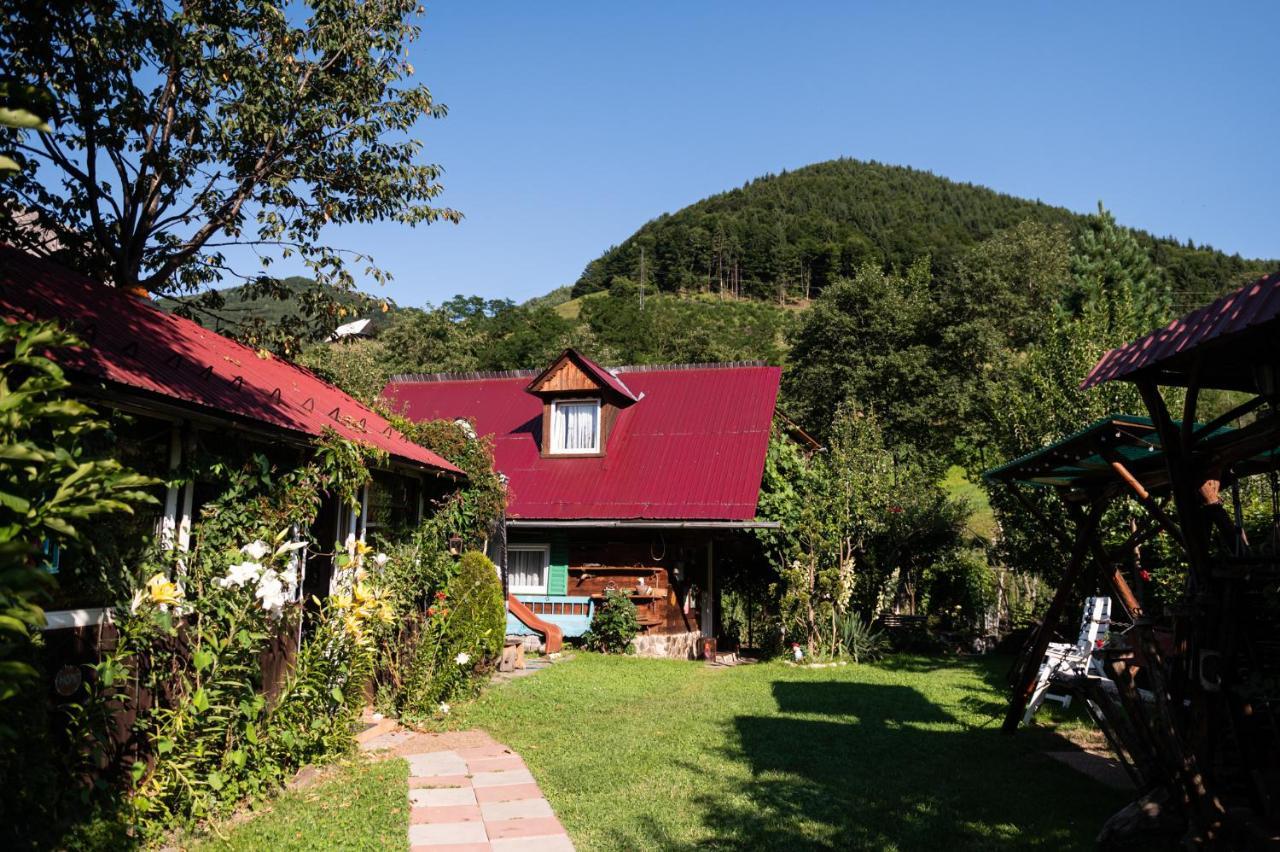 Casa De Vacanta Vidrighin Rau Sadului Экстерьер фото