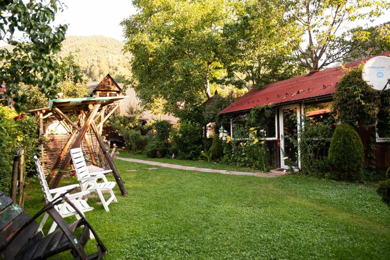 Casa De Vacanta Vidrighin Rau Sadului Экстерьер фото