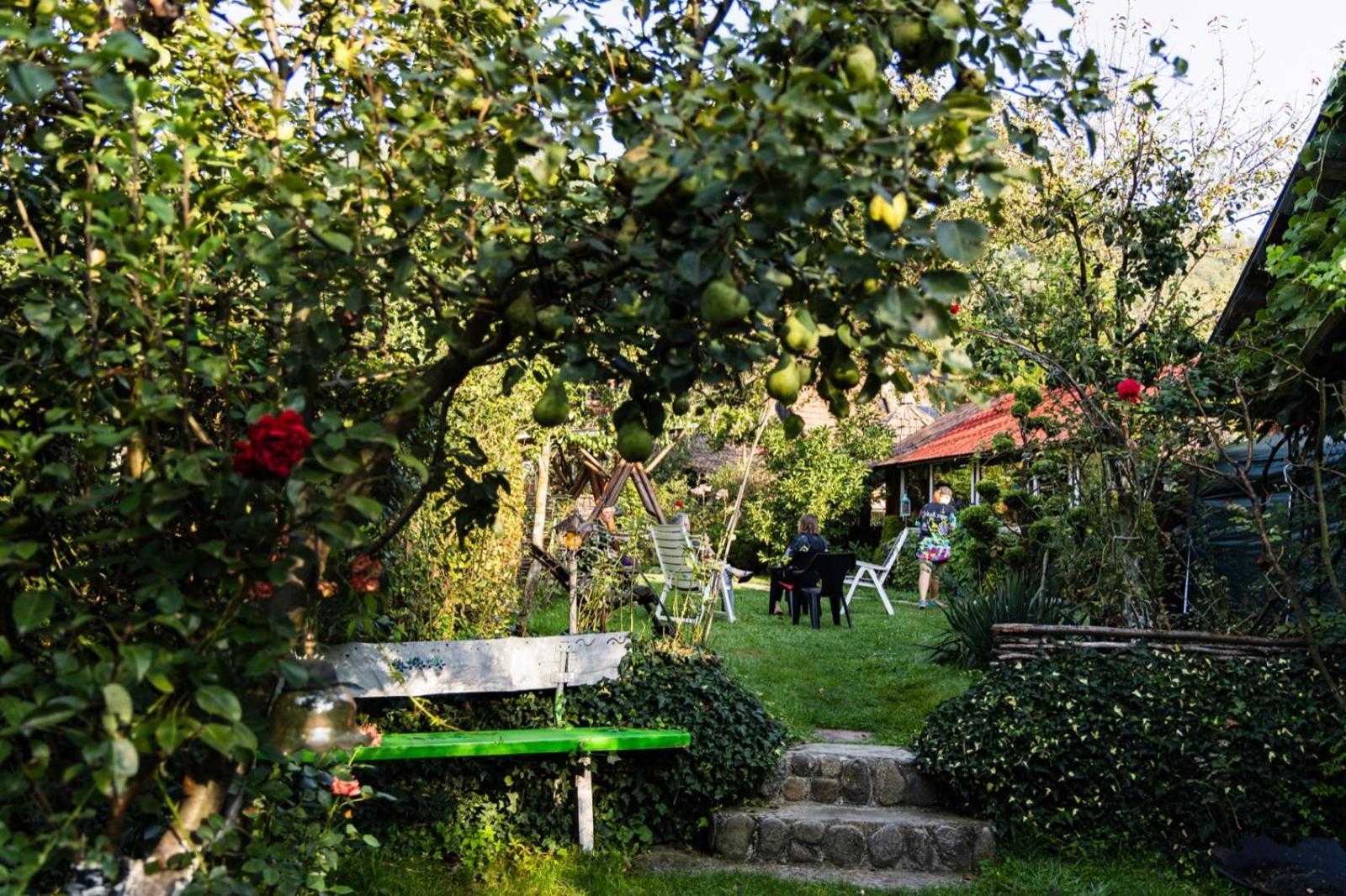 Casa De Vacanta Vidrighin Rau Sadului Номер фото