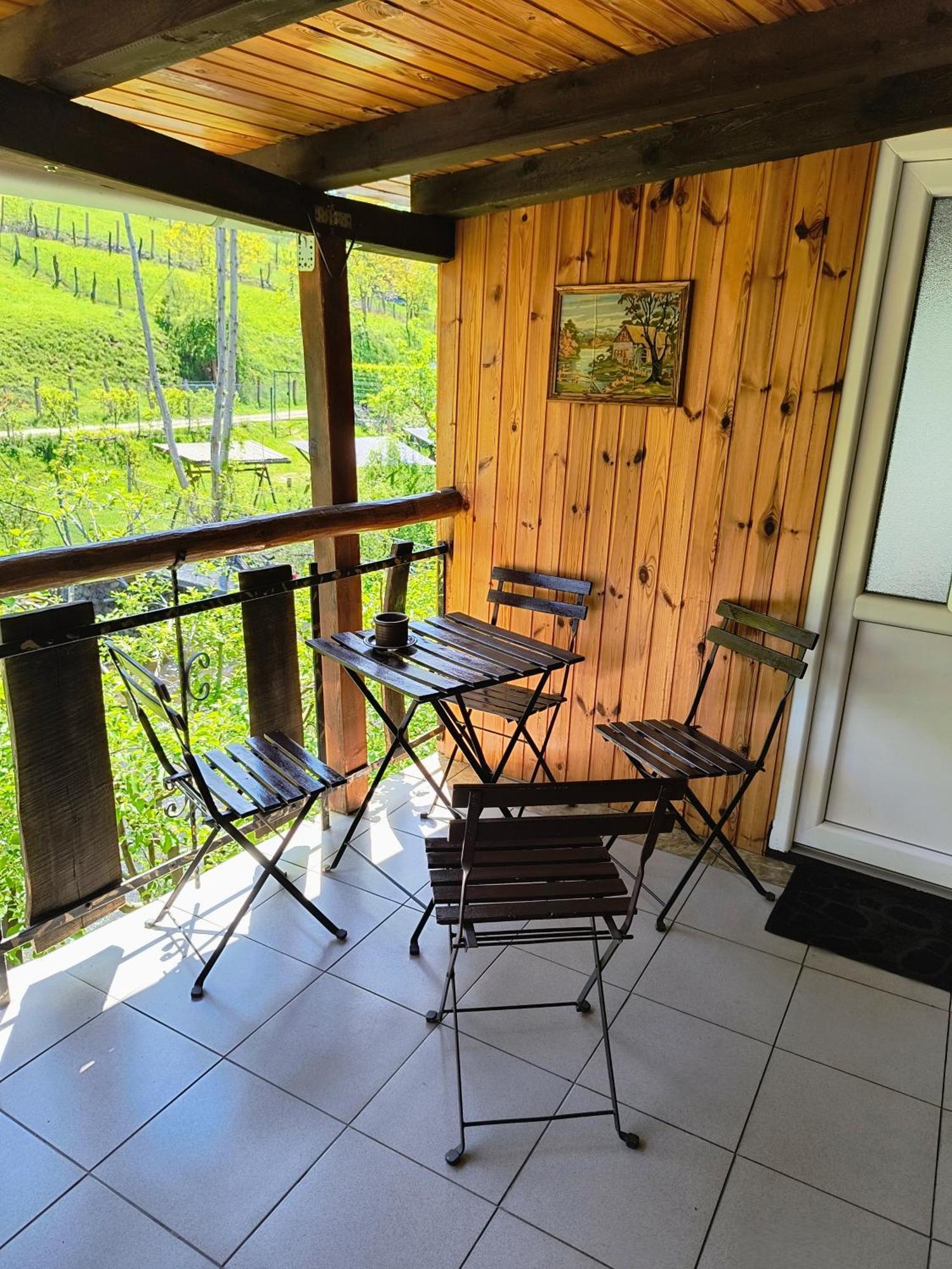 Casa De Vacanta Vidrighin Rau Sadului Номер фото