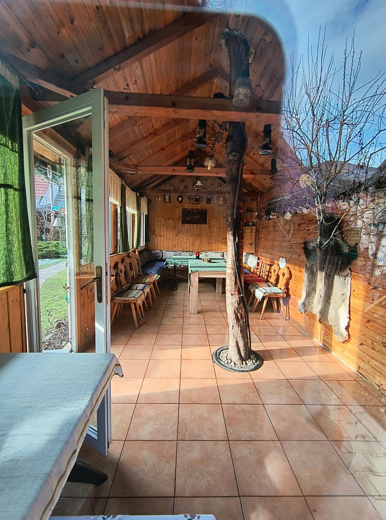 Casa De Vacanta Vidrighin Rau Sadului Экстерьер фото